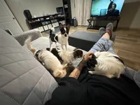 processed/36fa6ab2-0aa7-4853-b5c7-b175272e4979/facility/3c20e986-629b-4d66-aa36-5b01dcbfca40