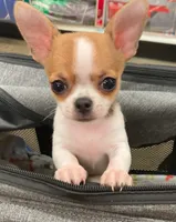 processed/36fa6ab2-0aa7-4853-b5c7-b175272e4979/facility/4bfe8734-5277-4102-9391-a7fe25ad9ec4