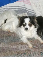 processed/36fa6ab2-0aa7-4853-b5c7-b175272e4979/facility/9e5000cd-1f4a-41fe-8388-44a486fd0306