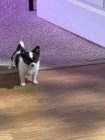 processed/36fa6ab2-0aa7-4853-b5c7-b175272e4979/facility/d69ab72f-8a2f-44d0-b410-40df7d96ed2b