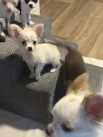 processed/36fa6ab2-0aa7-4853-b5c7-b175272e4979/listing/ca727f4c-d783-476f-b787-4e74e947a265/29ee118c-ec6a-434e-94fb-44c32d3cab23