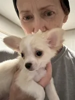 processed/36fa6ab2-0aa7-4853-b5c7-b175272e4979/listing/ca727f4c-d783-476f-b787-4e74e947a265/4fae6010-bf8f-4519-939b-3a61fa6bbbd1