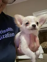 processed/36fa6ab2-0aa7-4853-b5c7-b175272e4979/listing/ca727f4c-d783-476f-b787-4e74e947a265/fd11c5c9-fb60-4723-99bd-b5f47dd3381e