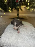 processed/36fd3092-a784-41e3-a473-a65356e2b38b/listing/8b86c75c-812d-4bbc-ac1d-f59f3d7068ba/1429a4e3-964c-4bf7-a265-2cca0d7109c2