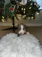 processed/36fd3092-a784-41e3-a473-a65356e2b38b/listing/8b86c75c-812d-4bbc-ac1d-f59f3d7068ba/477a64a8-d40a-4d89-af2e-4ce9386c8834