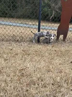 processed/36fd3092-a784-41e3-a473-a65356e2b38b/listing/8b86c75c-812d-4bbc-ac1d-f59f3d7068ba/50101808-ca55-4774-b330-5694f22a2d94