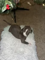 processed/36fd3092-a784-41e3-a473-a65356e2b38b/listing/8b86c75c-812d-4bbc-ac1d-f59f3d7068ba/8af7d4a9-15e5-4787-87fb-0d73e5b7d677