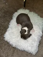 processed/36fd3092-a784-41e3-a473-a65356e2b38b/listing/8b86c75c-812d-4bbc-ac1d-f59f3d7068ba/b7e8c79a-bc68-40f0-9621-9edfad340fd2