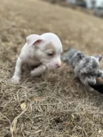 processed/36fd3092-a784-41e3-a473-a65356e2b38b/listing/bff962db-4805-40bf-af59-4968d8a5b1a8/388cafba-7ea5-466d-ab7d-4f5e4205cc79