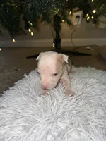 processed/36fd3092-a784-41e3-a473-a65356e2b38b/listing/bff962db-4805-40bf-af59-4968d8a5b1a8/a51c3e56-b8ff-4e3b-959e-7935bc2c765d