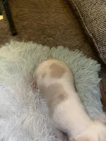 processed/36fd3092-a784-41e3-a473-a65356e2b38b/listing/bff962db-4805-40bf-af59-4968d8a5b1a8/dd99677d-0b33-4c72-beb5-0ceb6cc10ea0