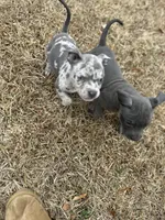 processed/36fd3092-a784-41e3-a473-a65356e2b38b/listing/ca7fe643-bce2-42bb-b77f-275daf0c16fd/422f8fee-b0f7-4b68-ad93-f688763100c3