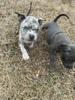 processed/36fd3092-a784-41e3-a473-a65356e2b38b/listing/ca7fe643-bce2-42bb-b77f-275daf0c16fd/6050c172-f573-48f6-a10e-9da1541a1e20