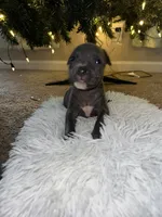 processed/36fd3092-a784-41e3-a473-a65356e2b38b/listing/ca7fe643-bce2-42bb-b77f-275daf0c16fd/833075a9-1b39-49c7-b92c-b4c831af2b23