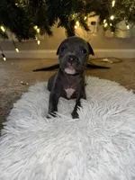 processed/36fd3092-a784-41e3-a473-a65356e2b38b/listing/ca7fe643-bce2-42bb-b77f-275daf0c16fd/8ff9d32e-f423-428a-b8e2-c920d004805c