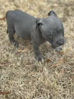 processed/36fd3092-a784-41e3-a473-a65356e2b38b/listing/ca7fe643-bce2-42bb-b77f-275daf0c16fd/d7479948-8a3e-4622-9c64-ed44c2ac4705