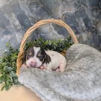 processed/3710ed15-e8e3-409d-939f-1ae6cc4ad016/listing/f706fb3d-3b2f-456d-a6e5-726ab6c30628/0157ccbe-6e5d-4dd3-89e5-4a4924010386