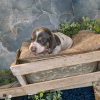 processed/3710ed15-e8e3-409d-939f-1ae6cc4ad016/listing/f706fb3d-3b2f-456d-a6e5-726ab6c30628/54bea4b5-be99-4bf1-b91d-d7d657391984