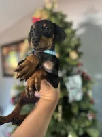 processed/3711a4a0-44a0-47bc-a8cf-df9ccee0fbb6/listing/3123e992-b854-41ad-a492-d49cdaae56d5/0076303c-be1d-41c4-8276-711b98483e08