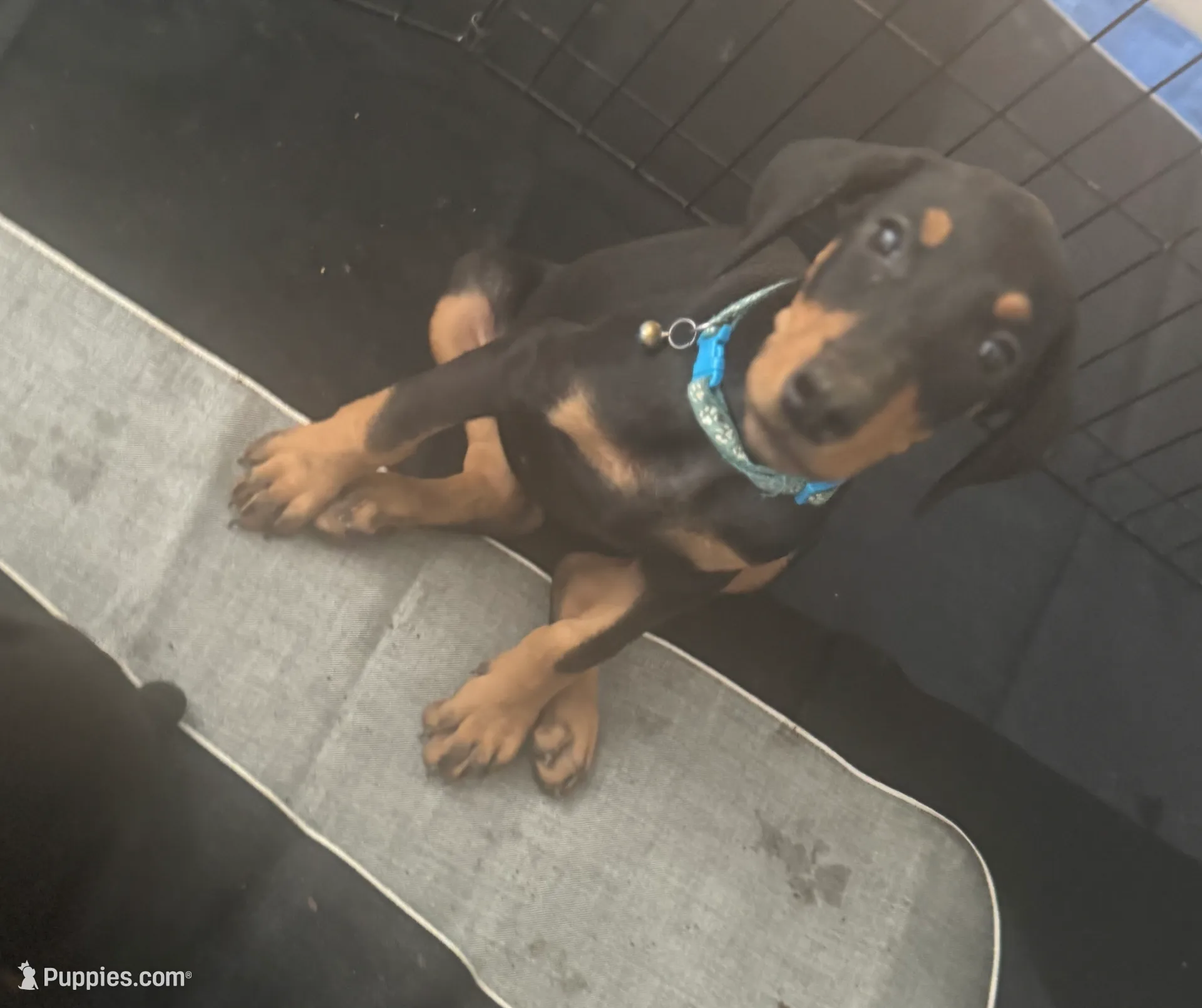 processed/3711a4a0-44a0-47bc-a8cf-df9ccee0fbb6/listing/3123e992-b854-41ad-a492-d49cdaae56d5/368d7e7a-a531-4dd9-a8da-3242a36aee54