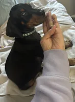 processed/3711a4a0-44a0-47bc-a8cf-df9ccee0fbb6/listing/3123e992-b854-41ad-a492-d49cdaae56d5/547b30bb-b282-4f61-979d-6444b547eb4c