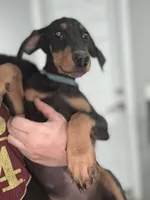 processed/3711a4a0-44a0-47bc-a8cf-df9ccee0fbb6/listing/3123e992-b854-41ad-a492-d49cdaae56d5/dc605955-7453-42dc-9fda-0a3dc2379adf