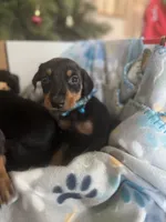 processed/3711a4a0-44a0-47bc-a8cf-df9ccee0fbb6/listing/3123e992-b854-41ad-a492-d49cdaae56d5/e6578e0d-e50c-44de-be6d-a562967babff