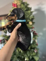 processed/3711a4a0-44a0-47bc-a8cf-df9ccee0fbb6/listing/3123e992-b854-41ad-a492-d49cdaae56d5/ea1bfd9e-45e8-48f4-9cc9-a6ec27c2cb0a