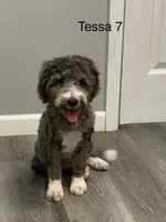 processed/371b3f4b-f415-40fe-912c-fcda307a88d6/listing/1e86dc46-3068-469e-974f-3f06a96b4501/9b29fdce-3982-4e8f-9c9a-772330c2dc87