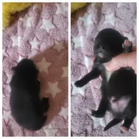 processed/371c16de-2012-42d5-9600-dacc8213214c/listing/4a6bc655-58d2-43bc-97be-7ac996ebe78d/65ed9ee8-7797-465f-bea9-ddf59c583754