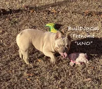 processed/371c8417-244c-4bca-837b-a9cdfe5413e2/listing/40c76684-59e4-41cd-8bfd-9d2c1236f106/431fb2f4-8934-4c4b-80a5-cdfb6a406949