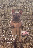 processed/371c8417-244c-4bca-837b-a9cdfe5413e2/listing/40c76684-59e4-41cd-8bfd-9d2c1236f106/829fa4f0-40ed-4410-97dd-0270b164c428