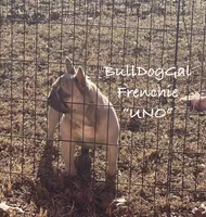 processed/371c8417-244c-4bca-837b-a9cdfe5413e2/listing/40c76684-59e4-41cd-8bfd-9d2c1236f106/eb95963d-443f-4ac9-bdd0-a23a079e2f68