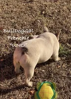 processed/371c8417-244c-4bca-837b-a9cdfe5413e2/listing/40c76684-59e4-41cd-8bfd-9d2c1236f106/ffd5afb9-fe07-4241-9843-fd540f20994b