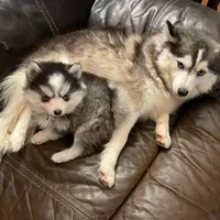 processed/37225b5a-8822-4867-8b7c-0b038fe66bef/facility/454f885e-a437-470b-b32b-742a017456c8