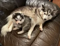 processed/37225b5a-8822-4867-8b7c-0b038fe66bef/facility/454f885e-a437-470b-b32b-742a017456c8