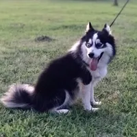 processed/37225b5a-8822-4867-8b7c-0b038fe66bef/facility/72bd88ea-7c9a-447d-be86-32c3ce745175