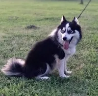 processed/37225b5a-8822-4867-8b7c-0b038fe66bef/facility/72bd88ea-7c9a-447d-be86-32c3ce745175