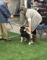 processed/37225b5a-8822-4867-8b7c-0b038fe66bef/facility/8cfbbb52-b45f-4fb2-a1c9-ab52bf1a552a