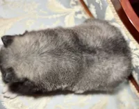 processed/37225b5a-8822-4867-8b7c-0b038fe66bef/listing/8e876b44-b060-487a-b129-63be1a5cd05e/5084b01f-8c09-4eb2-aa08-431d60d0f5ed