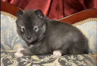 processed/37225b5a-8822-4867-8b7c-0b038fe66bef/listing/8e876b44-b060-487a-b129-63be1a5cd05e/75778c19-cbdb-46b4-a292-206584a8cafc