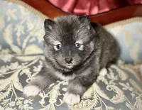 processed/37225b5a-8822-4867-8b7c-0b038fe66bef/listing/8e876b44-b060-487a-b129-63be1a5cd05e/82b8285a-fbcd-4522-814c-03847b8b938f