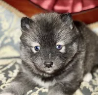 processed/37225b5a-8822-4867-8b7c-0b038fe66bef/listing/8e876b44-b060-487a-b129-63be1a5cd05e/9a0178e4-16fe-4776-977f-5fab21ec6803