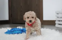 processed/372500d9-e45c-4835-98b9-9f1b9c70b322/listing/0b804434-1c20-4522-bf8a-b55d9332e4db/3ccecf17-def4-40c1-b55b-9e67c6dfee99