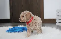 processed/372500d9-e45c-4835-98b9-9f1b9c70b322/listing/0b804434-1c20-4522-bf8a-b55d9332e4db/f974fd87-45f0-4255-8cd5-65fbb2182d2e