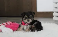 processed/372500d9-e45c-4835-98b9-9f1b9c70b322/listing/1aa77dd7-1e12-419c-86be-2bf21f4971ee/e2a28b9d-6262-4fe7-bb2c-03b2cd683fdb