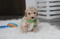 processed/372500d9-e45c-4835-98b9-9f1b9c70b322/listing/80406080-4e00-49ce-b576-071c14de7173/5eeb2bc2-5d04-4a5b-8263-8909fa7dcc5b