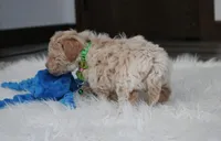 processed/372500d9-e45c-4835-98b9-9f1b9c70b322/listing/80406080-4e00-49ce-b576-071c14de7173/7fe79f27-75b1-450a-a024-19fd83f3e79c