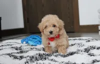 processed/372500d9-e45c-4835-98b9-9f1b9c70b322/listing/8714e0b4-3cda-41b4-9c0f-c0347ba8cec7/7da3e26f-426e-4cdf-aa85-374f33578131