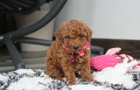 processed/372500d9-e45c-4835-98b9-9f1b9c70b322/listing/ad189dc7-1d55-4667-8967-e35c46450879/d46707ce-654b-4fd3-a4ec-82b209dd506a